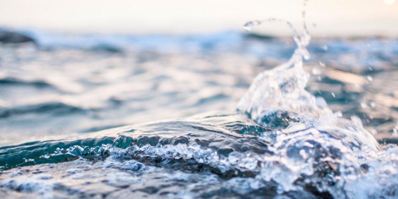 Finally a plastic-free sea food available