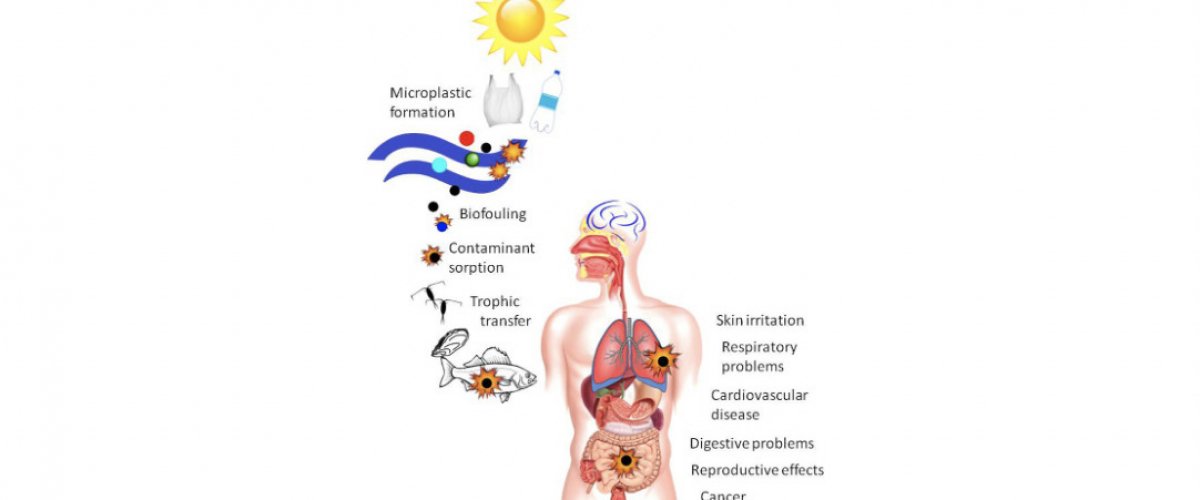 Impact on Human Health